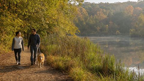 The Loop Trail & Cross County Trail at Lake Accotink Park